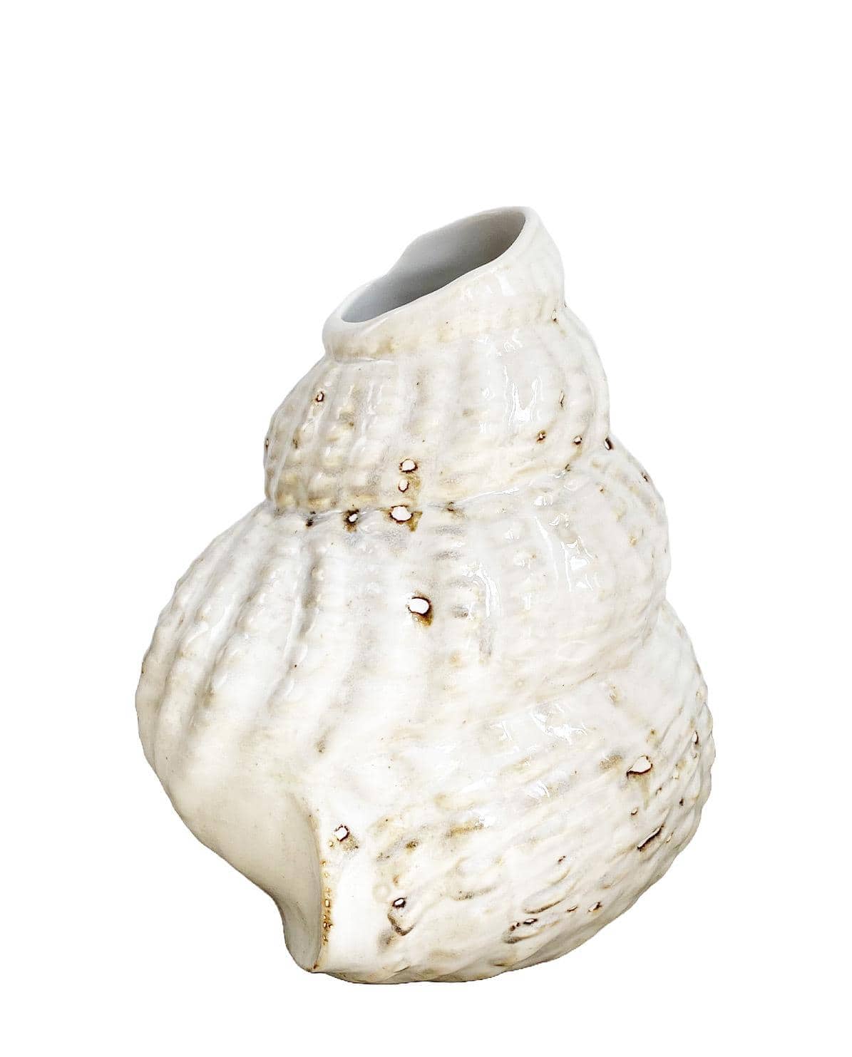 Vase Shell One Size