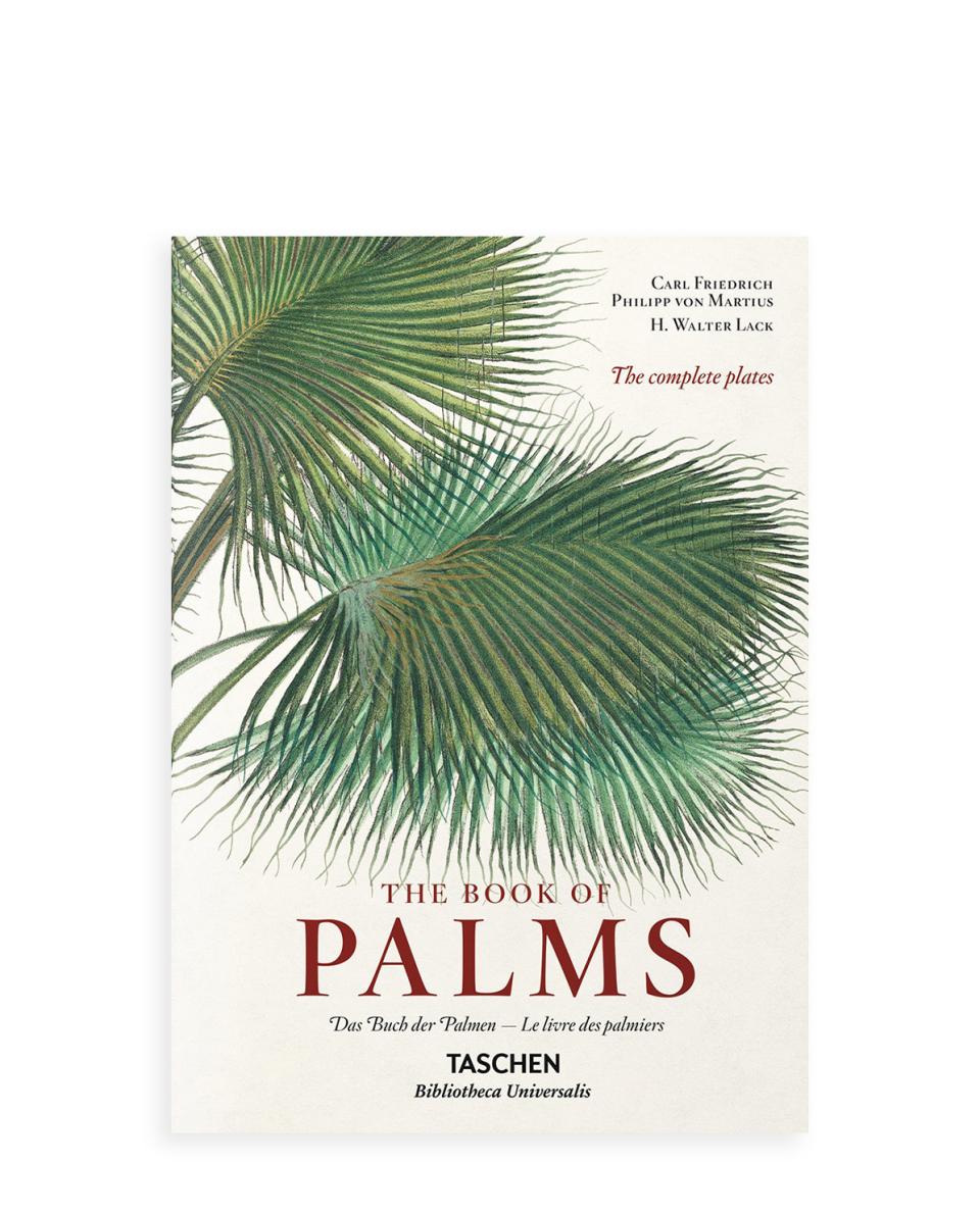 Buch The Book of Palms XL 