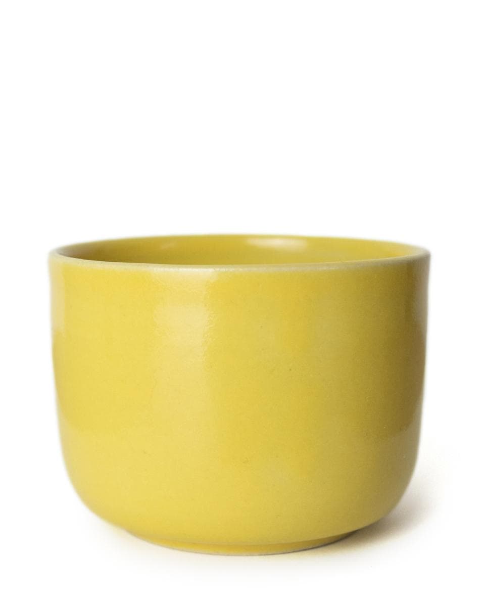 Cup Nomi zitrone One Size