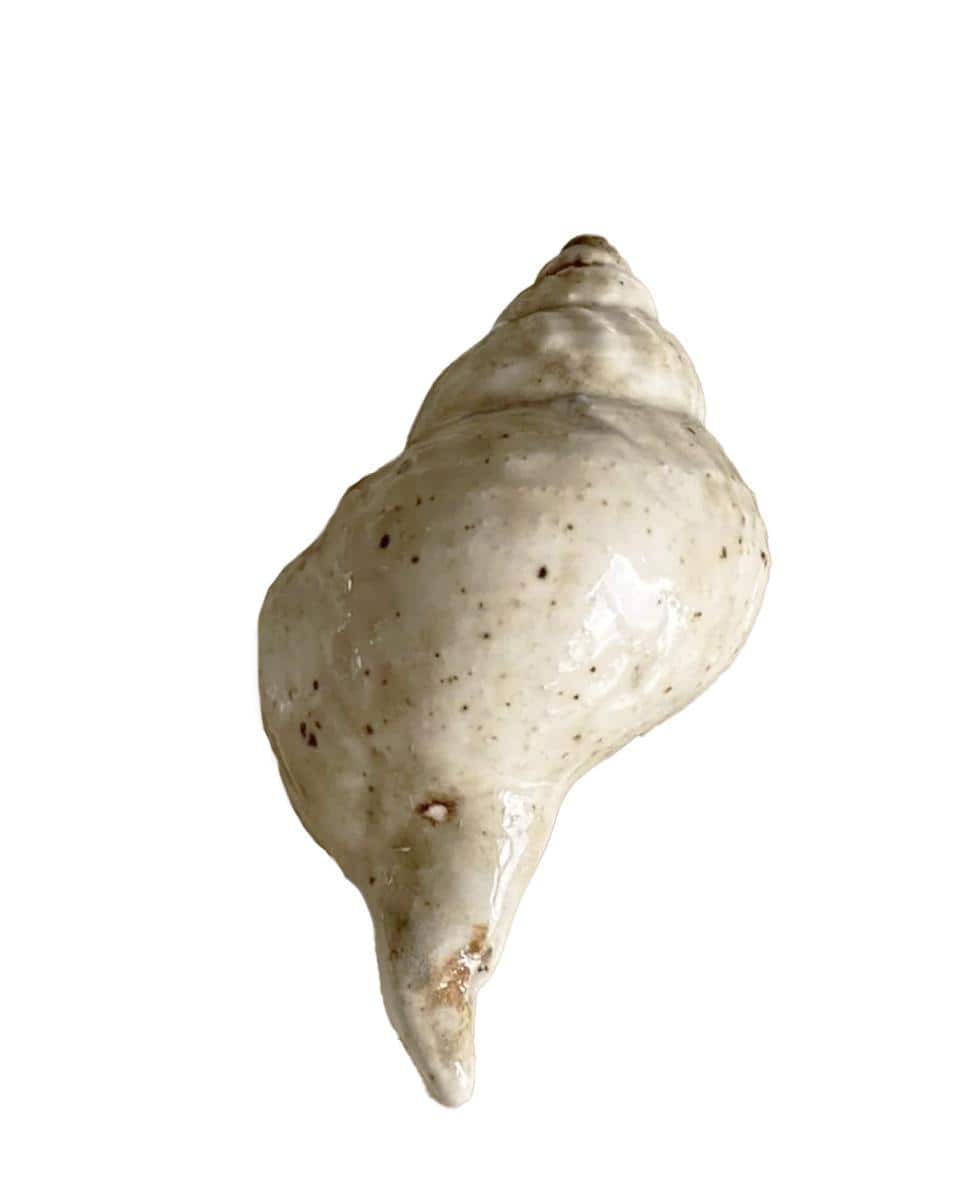 Deko Anhänger Shell 