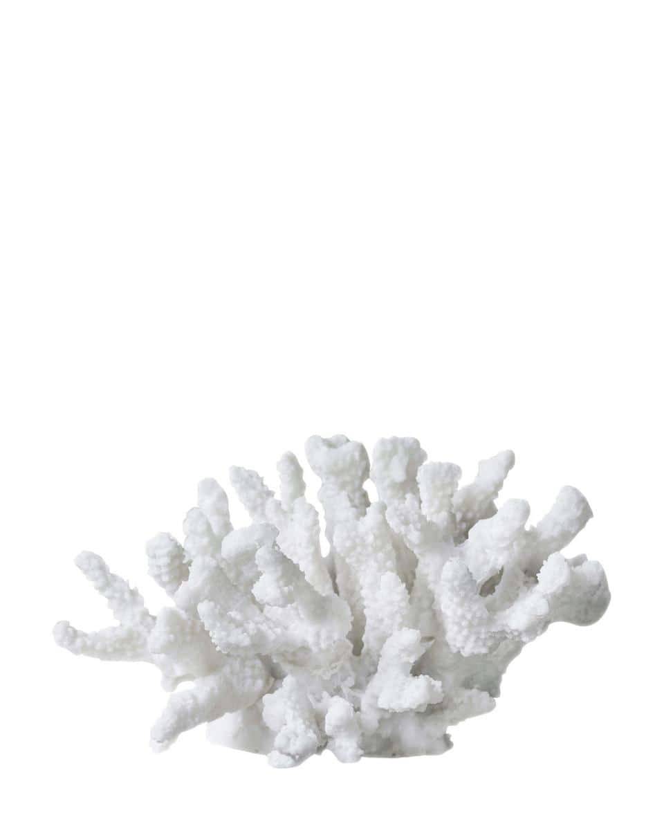 Deko Objekt Coral Branches 18x16x10 cm