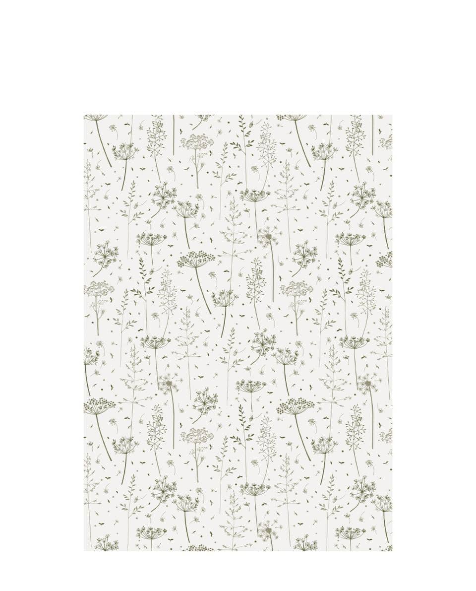 Geschenkpapier Green Grass & Umbels One Size