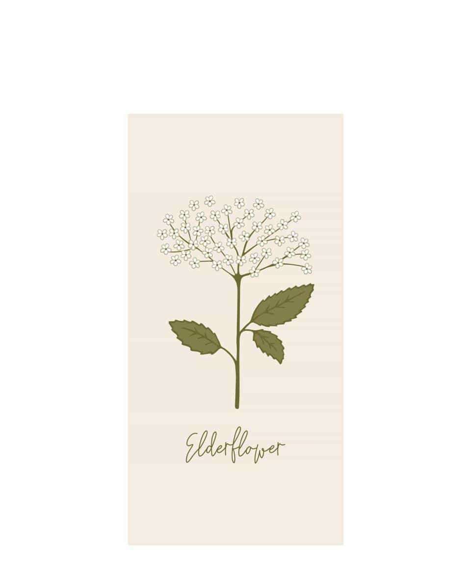 Papierservietten Elderflower One Size