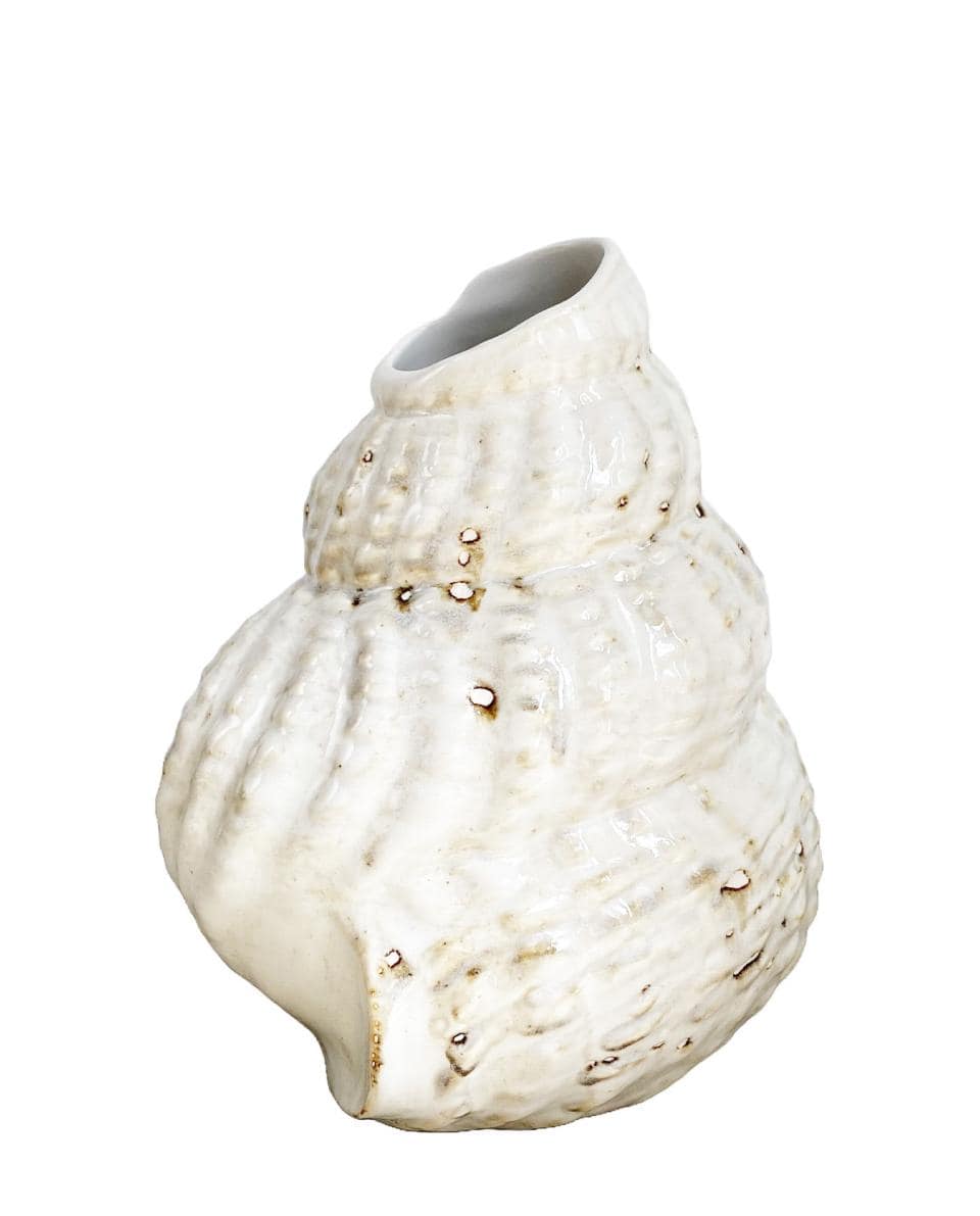 Vase Shell 