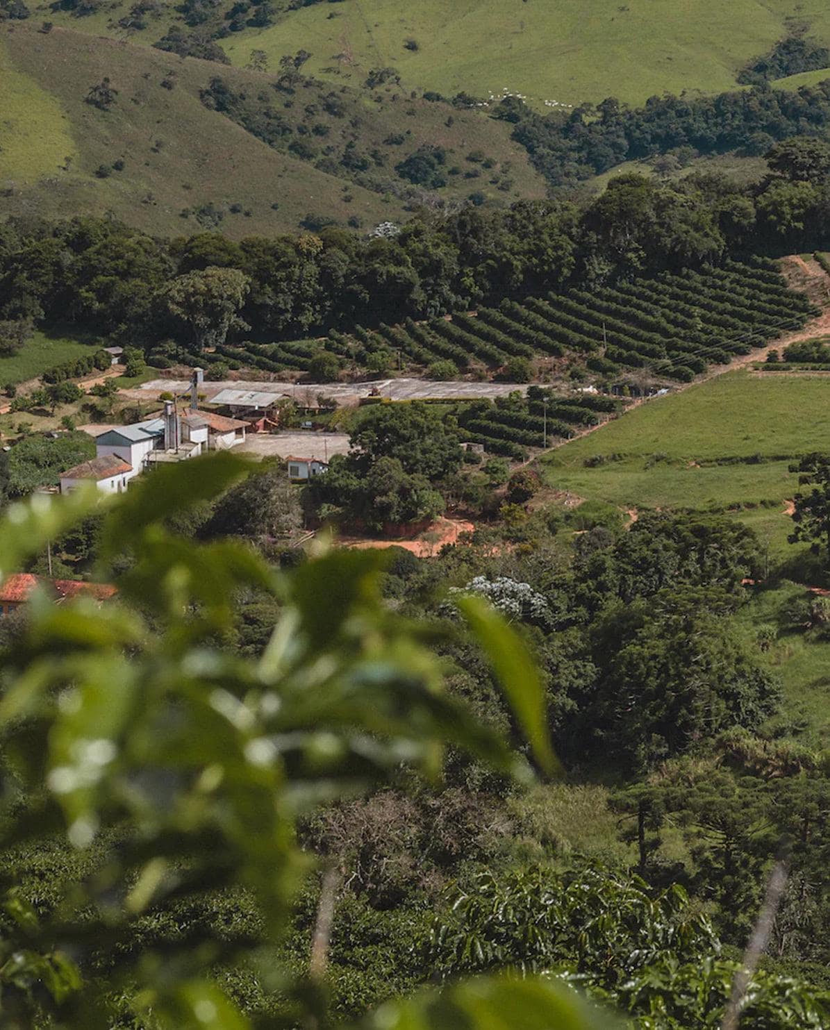 Espresso Sertao – Brasilien 