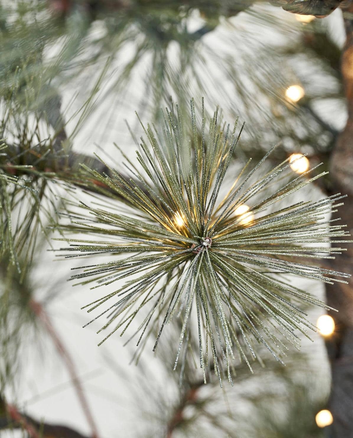 Weihnachtsbaum Peuce 180 cm H