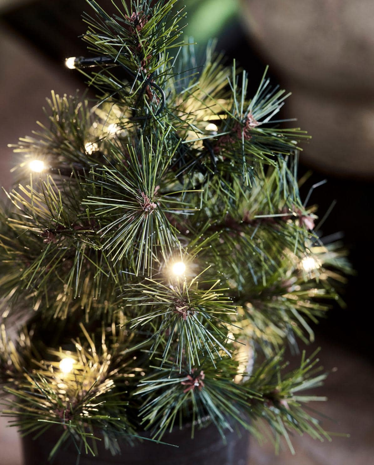 Weihnachtsbaum Pinus 30 cm H