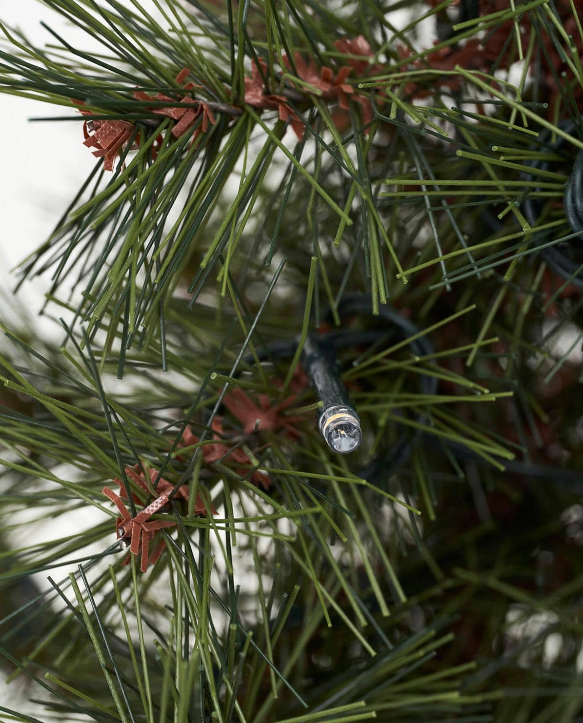 Weihnachtsbaum Pinus 30 cm H