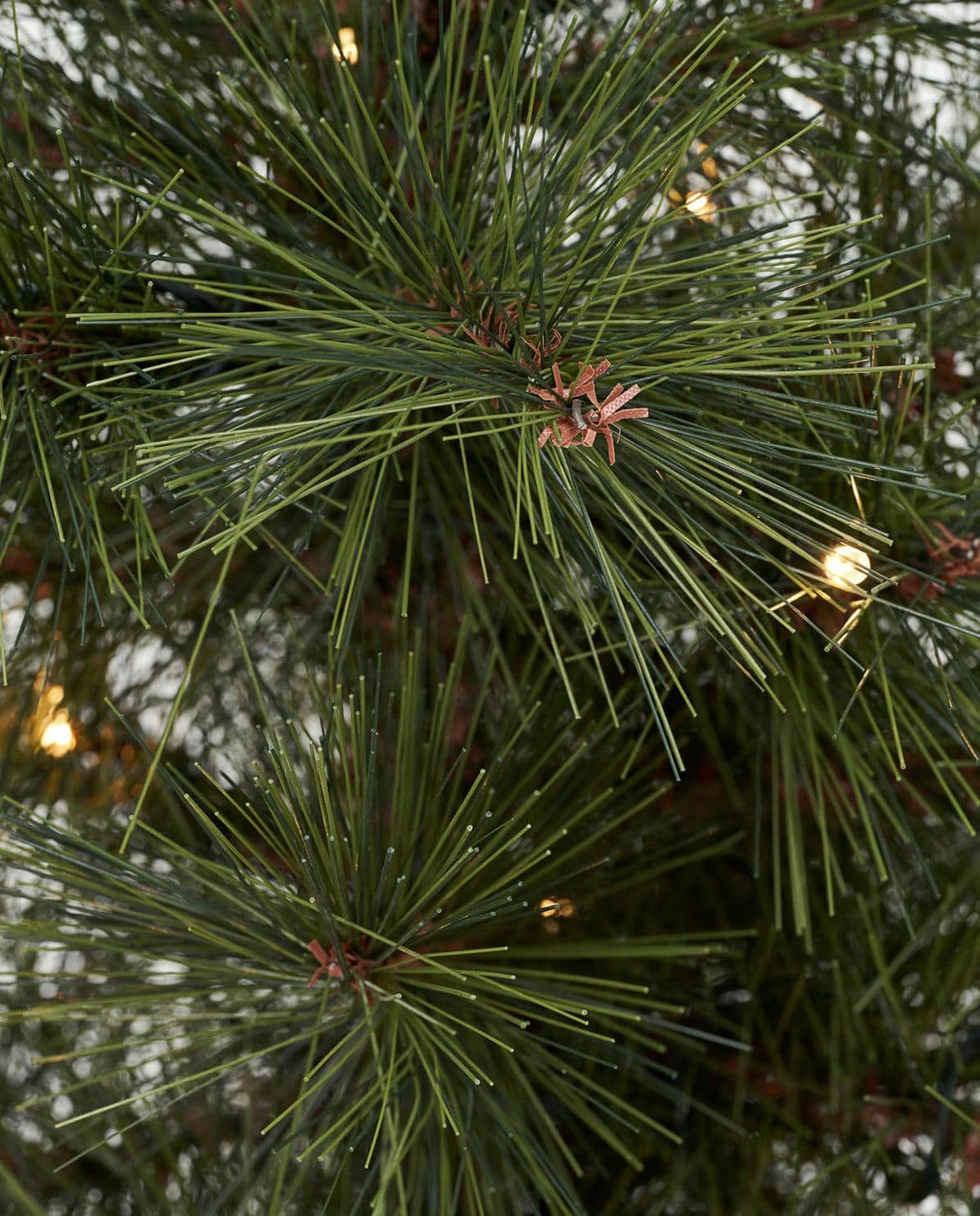 Weihnachtsbaum Pinus 60 cm H