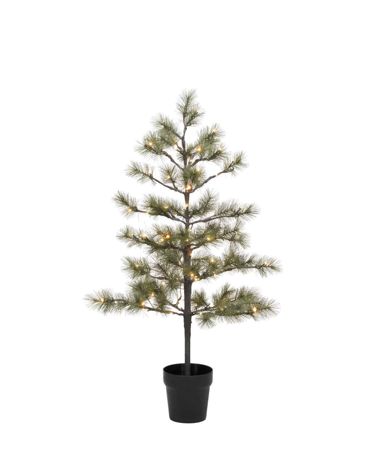 Weihnachtsbaum Peuce 125 cm H